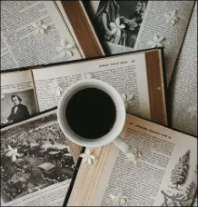 Préfères-tu une histoire en continu sur plusieurs tomes ou une différente histoire par tome ?