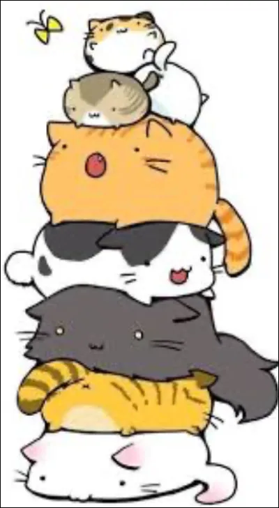 Tu veux combien de chats