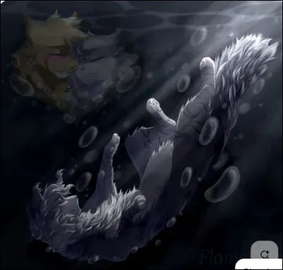 Un jour, ton mentor vient te dire que vous allez à la Pierre de Lune/Source de Lune pour la demi-lune, pour la réunion des guérisseurs. Tu es...