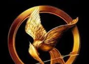 Quiz Connais-tu Hunger Games ?