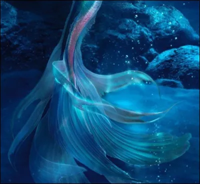 Quel objet préfères-tu ?