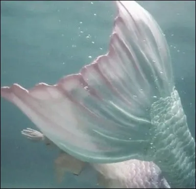 Quel endroit préfères-tu ?