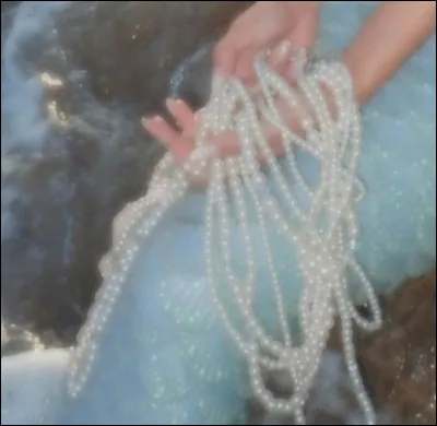 Quel animal préfères-tu ?