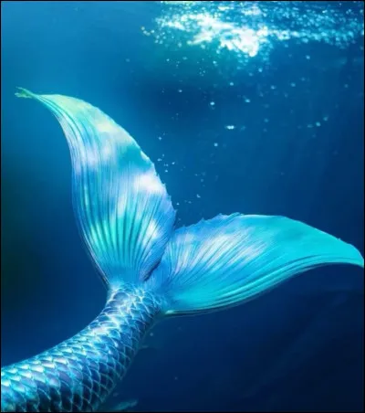 Quel type de son préfères-tu ?