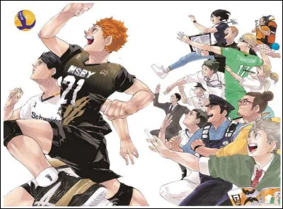 Quel est le nom du lycée de Hinata et Kageyama ?