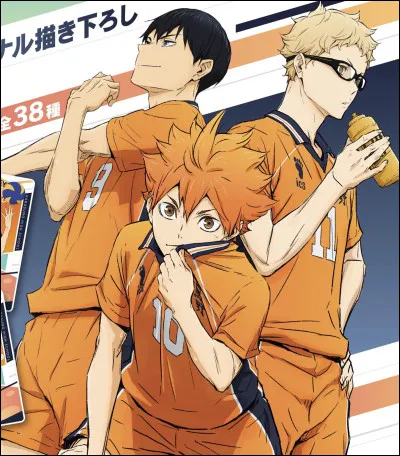 Combien y a-t-il de saisons en animé ?