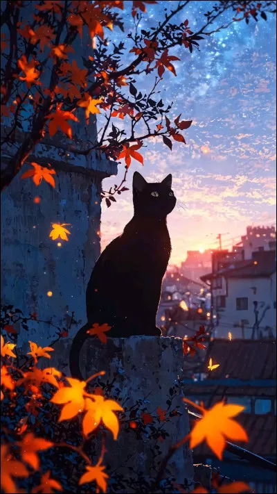 Comment te comportes-tu face aux garçons ?