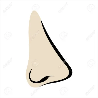 Quelle est ton odeur ?