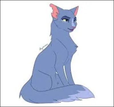 Hey ! Voilou mon quiz sur Étoile Bleue, merci de le faire ! 
Voili voilou la première question ! 
De que clan fait partie Étoile Bleue ?