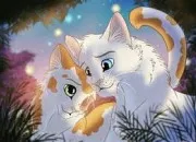 Quiz LGDC - Les couples