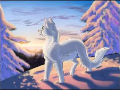 De quel personnage est amoureux Tornade Blanche ?