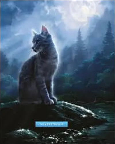 De quel personnage est amoureuse Rivière d'Argent ?