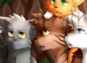 Quiz LGDC - Le voyage des lus du cycle 2 !