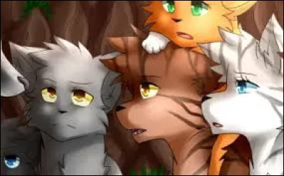 Quels chats sont revenus du voyage ?