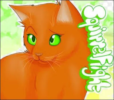 Pourquoi Poil dÉcureuil a-t-elle décidé d'accompagner Griffe de Ronce alors qu'elle aurait pu rester au camp ?