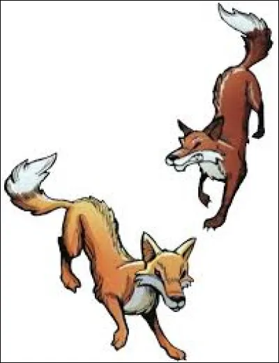 Quand ils repartent, ils s'arrêtent dans une forêt pas très loin pour dormir. Quel animal les attaque ?