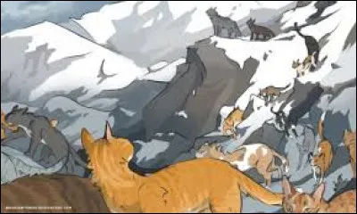 Quelle tribu rencontrent-ils dans les montagnes ?