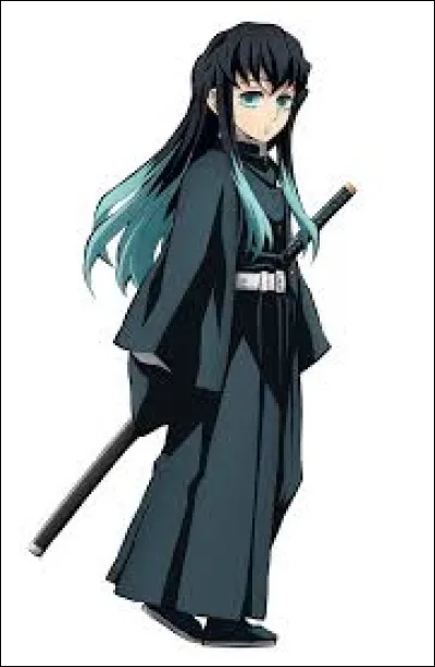 Qui est ce personnage de ''Demon Slayer'' ?