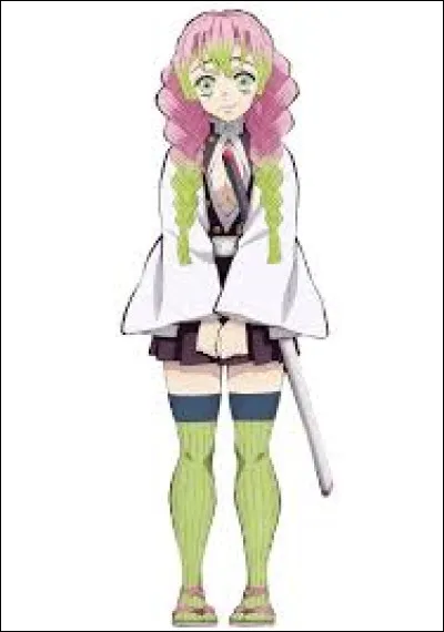 Qui est ce personnage de ''Demon Slayer'' ?