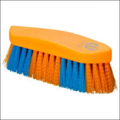 Comment sappelle cette brosse ?