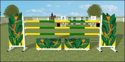 Comment sappelle la chose qui tient les barres dobstacles ?