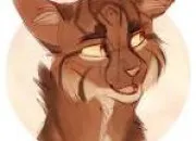 Quiz Famille d'toile de Ronce