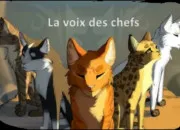 Test Quel est ton nom dans LGDC ?