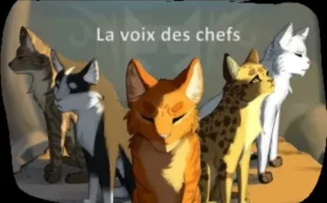 Quiz Test de personnalit