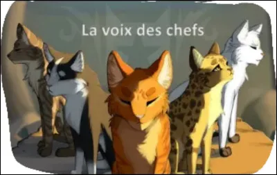 Imaginons que tu t'appelles Petite Aurore .
Dans quel clan veux tu naître ?