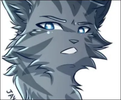 Tu attends des chatons de Griffe de Fougère Ce sont 1 mâle et 1 femelle. Tu les nommes...