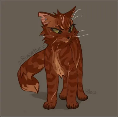 Les paroles explicites te dérangent-elles dans une chanson ?