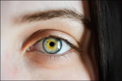 De quelle couleur sont tes yeux ?