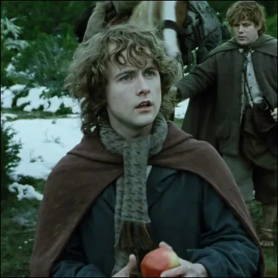 Comment sappelle lacteur qui interprète Pipin ?