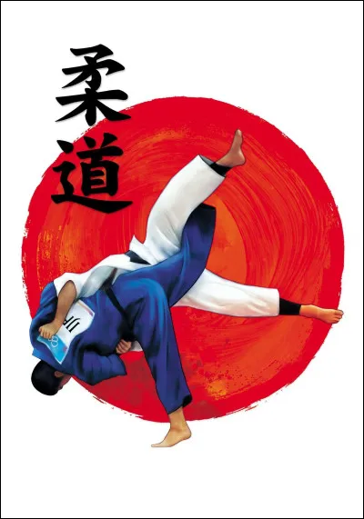 Au judo, quel point marque la fin du combat ?