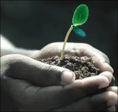 Quel est ton rapport à la vie, en un mot ?