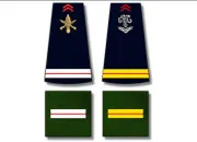 Quiz Grades de l'Arme de terre