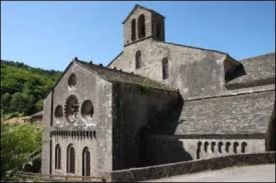 Dans quel département irez-vous pour visiter le petit village de Sylvanès et son abbaye cistercienne ?