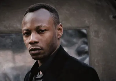 Dans quel style musical MC Solaar s'est-il illustré ?