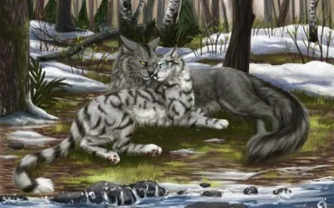 Quiz La guerre des clans