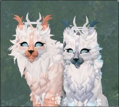 Ton mentor te demande d'aller faire les puces aux anciens. 
Ta réponse est :