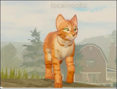 Pendant ce temps-là, ton entraînement continue. Tu continues ton entraînement avec...