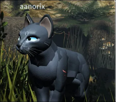 Après une semaine, ton mentor déclare que tu n'y mets pas assez du tien. Il te punit, et décide tout de même d'arrêter l'apprentissage, pendant deux jours, le temps qu'il faut pour que tu te rappelles tes objectifs. Que fais-tu de ce temps libre ?
 Question réservée à ceux qui ont mis : Détermination/Fierté.