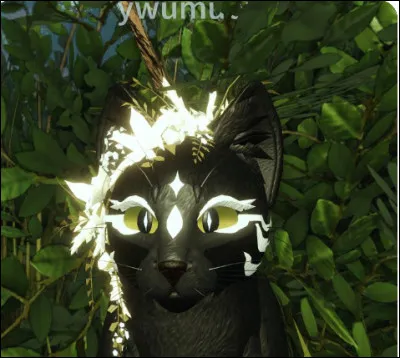 Après une semaine, l'état de ta sur ne s'est pas amélioré, mais tu continues à progresser dans ton apprentissage. Un soir, ton mentor te dit que tu as assez travaillé et même que tu t'es dépassé et que tu as le droit à deux jours de "congés". 
Comment réagis-tu ?
 Question réservée à ceux qui, dans "5" avait mis Détermination ou Fierté.