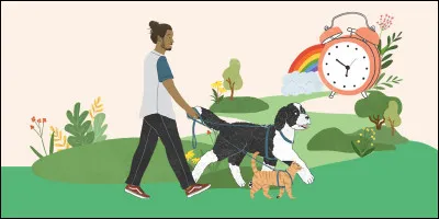 Préfères-tu la routine ou la nouveauté ?