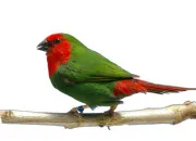 Quiz La France dans tous ses tats