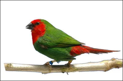 Dans quelle ville de existe-t-il, depuis 1954, un arrêté interdisant l'atterrissage des soucoupes Volantes ?