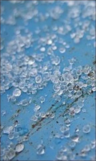 Avec quel pays a-t-elle la plus longue frontière terrestre ?