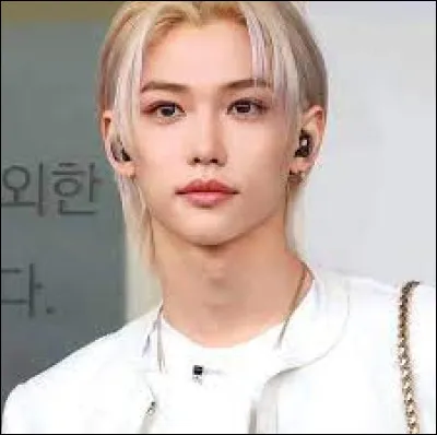Dans quel groupe coréen évolue le chanteur Lee Felix ?