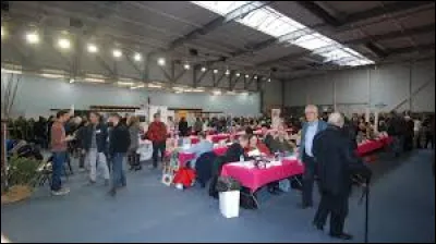 Les ... sont venus nombreux à ce salon du livre
