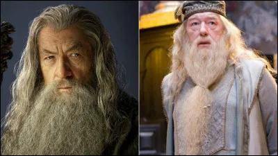 Il y a un vieux barbu...